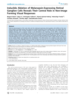 Inducible Ablation of Melanopsin-Expressing Retinal Ganglion Cells