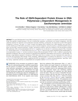 The Role of Dbf4-Dependent Protein Kinase in DNA
