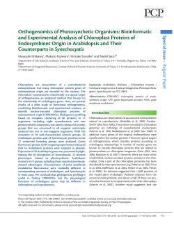 Orthogenomics of Photosynthetic Organisms