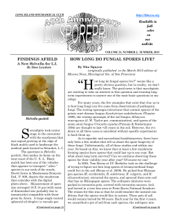 FINDINGS AFIELD HOW LONG DO FUNGAL SPORES LIVE? website