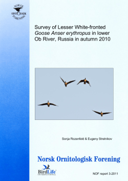 Fangst og fargemerking av s&aelig;dg&aring;s i Norge