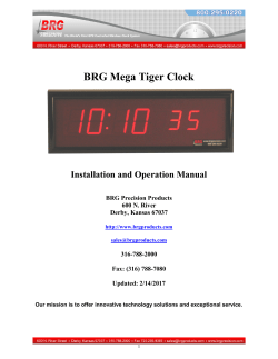 BRG Mega Tiger Clock - BRG Precision Products