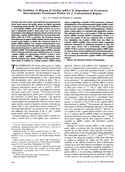 The Stability of Human P-Globin mRNA Is