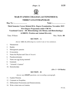 Protista and Animal Diversity 2015