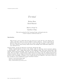 Fungi - OpenStax CNX