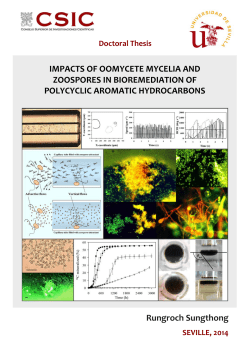 IMPACTS OF OOMYCETE MYCELIA AND ZOOSPORES IN