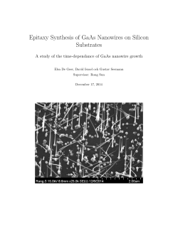 Epitaxy Synthesis of GaAs Nanowires on Silicon Substrates