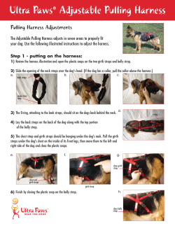 Ultra Paws&reg; Adjustable Pulling Harness