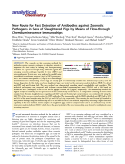 New Route for Fast Detection of Antibodies