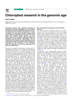 Chloroplast research in the genomic age