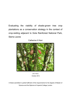 Evaluating the viability of shade-grown tree crop plantations as a