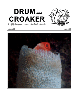 2008 Volume 39 - Drum and Croaker