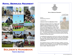 Soldier`s Handbook