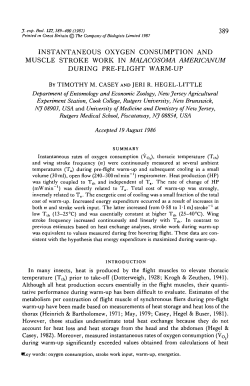 instantaneous oxygen consumption and muscle stroke work in