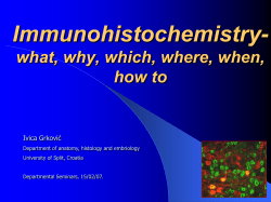 Immunohistochemistry