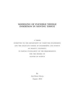 MODELING OF FLEXIBLE NEEDLE INSERTION IN MOVING TISSUE