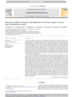Fine grain sediment transport and deposition in the Patos Lagoon