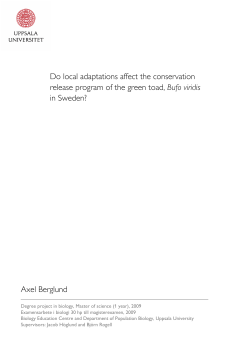 Do local adaptations affect the conservation release program of the