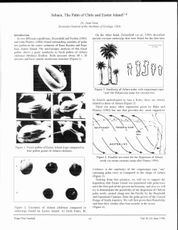 Jubaea, The Palm of Chile and Easter Island? *