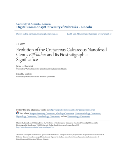 Evolution of the Cretaceous Calcareous Nanofossil Genus