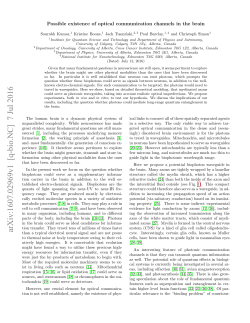 Possible existence of optical communication channels in the brain