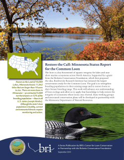 Minnesota Status Report for the Common Loon