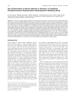 The Conformation of Serum Albumin in Solution: A Combined