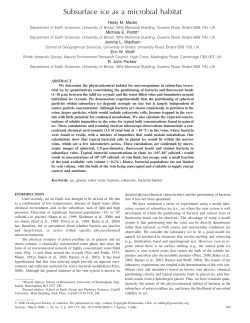 Subsurface ice as a microbial habitat