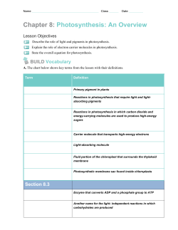 Chapter 8: Photosynthes Photosynthesis: An Overview s: An Overview