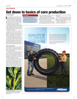 Get down to basics of corn production