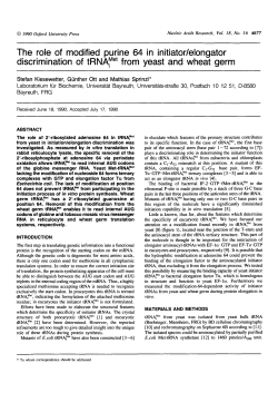 The role of modified purine 64 in initiator