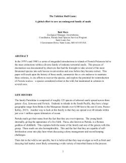 The Tahitian Shell Game