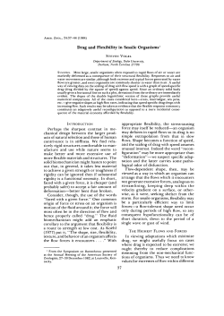 Drag and Flexibility in Sessile Organisms1