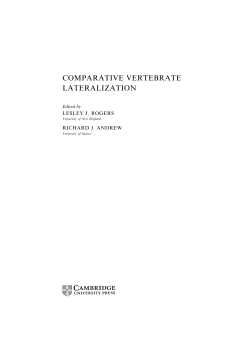 comparative vertebrate lateralization - Assets