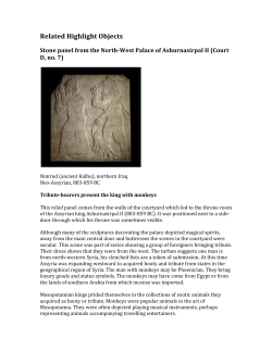 Related Highlight Objects