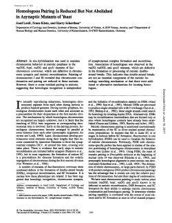 Homologous Pairing Is Reduced But Not Abolished in Asynaptic