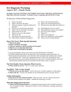 Stone_Diagnostics Handout