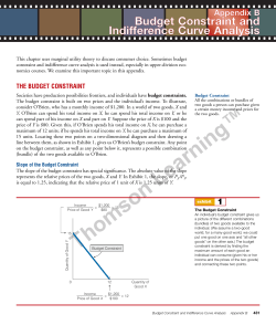 Budget Constraint and Indifference Curve Analysis