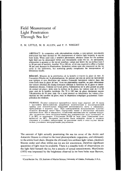Field Measurement of Light Penetration Through Sea Ice