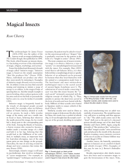 Magical Insects - American Entomologist