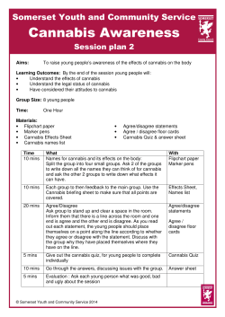 Cannabis - Somerset Youth