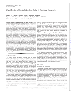 Classification of Retinal Ganglion Cells: A Statistical Approach