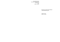 Bryozoans of southern New Zealand: a field