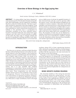 Overview of Bone Biology in the Egg