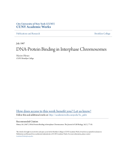 DNA-Protein Binding in Interphase Chromosomes