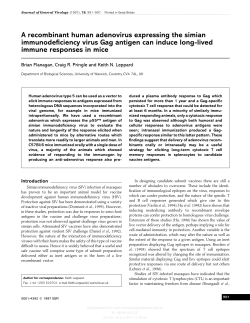 A recombinant human adenovirus expressing the simian