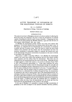 active transport of potassium by the malpighian tubules of insects