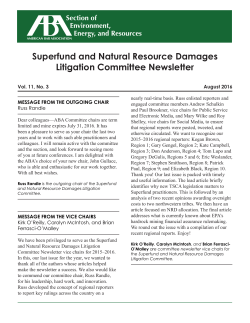 Superfund and Natural Resource Damages Litigation Committee