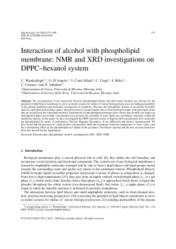 Interaction of alcohol with phospholipid membrane: NMR