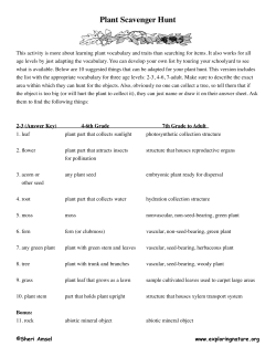 Plant Scavenger Hunt